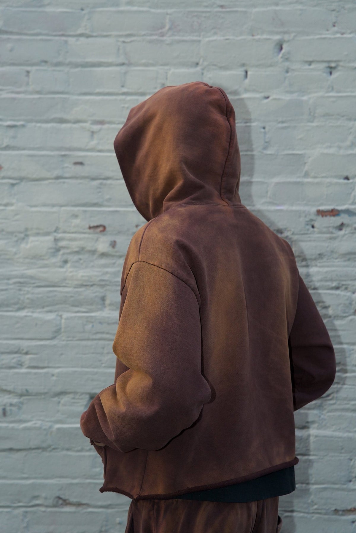 Sun-Faded Hoodie — back